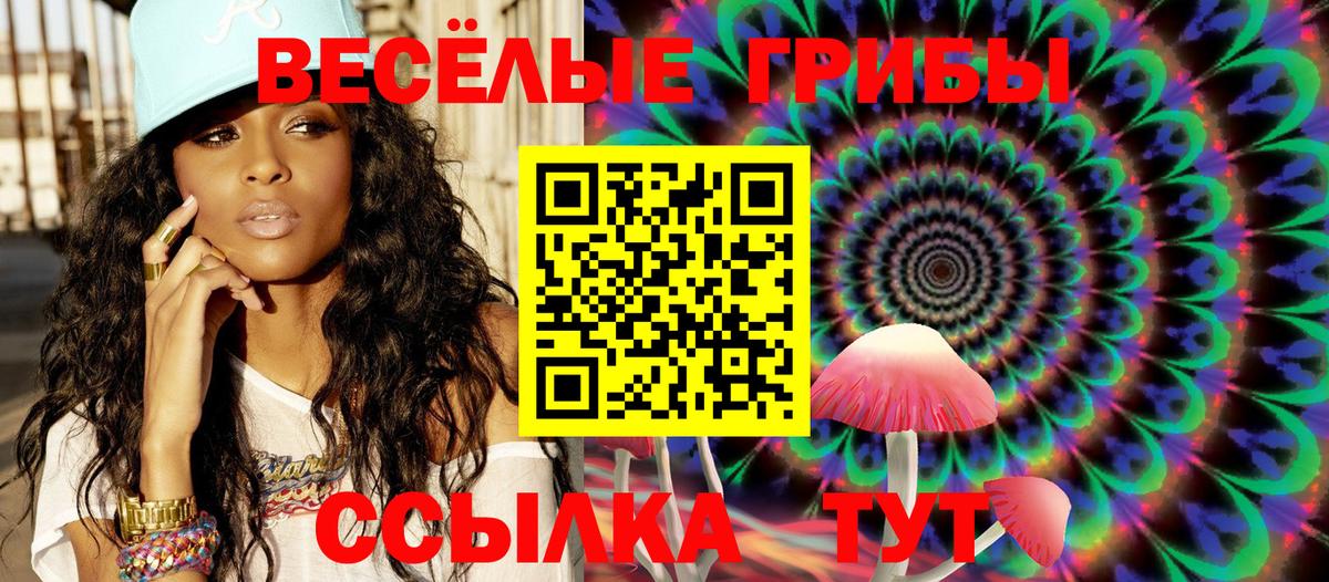 Сосновый Бор  Псилоцибиновые грибы Magic Shrooms  Галлюциногенные грибы ЛСД  Вход с VPN 