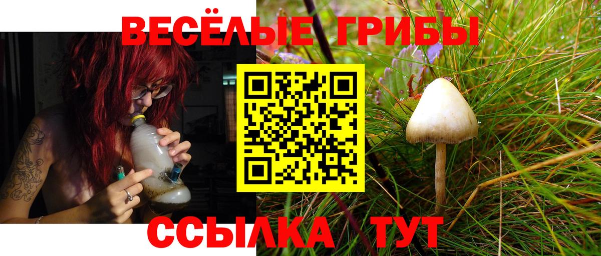 Галлюциногенные грибы мухоморы Сосновый Бор
